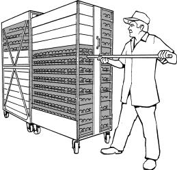 TRANSFERRING THE EGGS TO THE INCUBATOR RACKS When the desired number of eggs to set has been determined, transfer the appropriate quantity of egg cases from the egg store room to the egg work room.