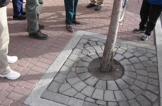 bollard stamped concrete crosswalk dry set pavers in the tree well allow