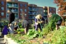 Sustainable/Green Infrastructure: Case
