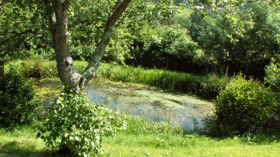 Do not locate ponds where they will be subject to runoff from intensive farmland.