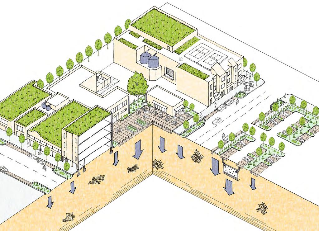 San Francisco Stormwater Management Requirements and Design