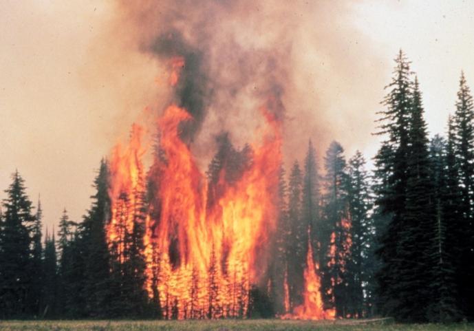 Increased frequency of extreme weather events Increased severity and frequency of wild fires