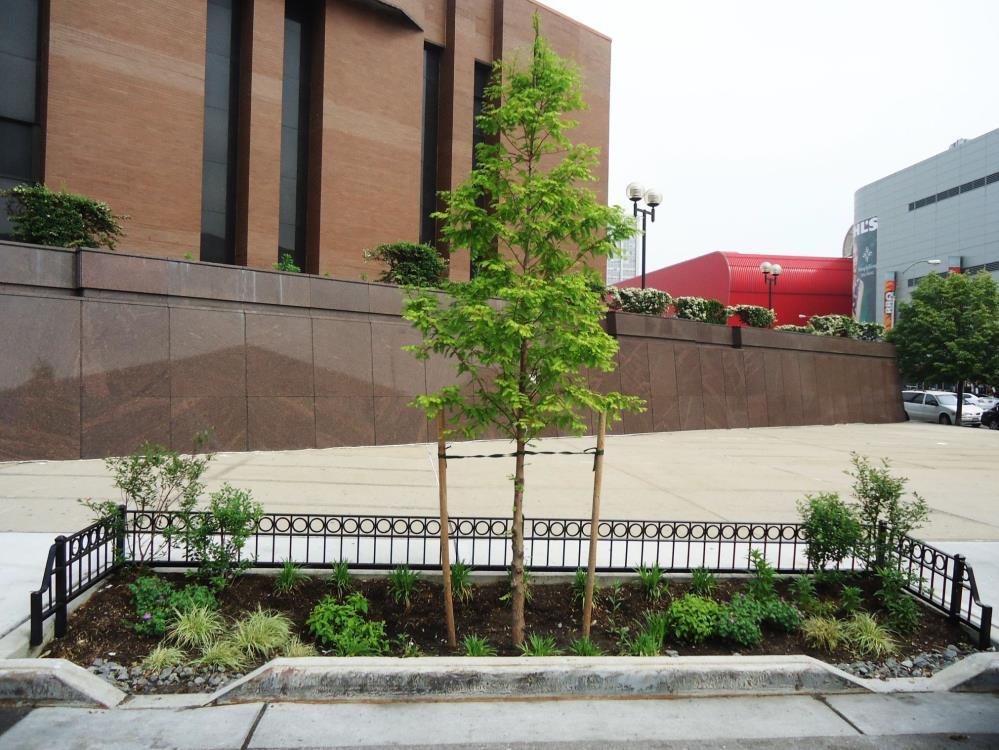 NYC Right-of-Way Bioswale (ROWB) Pros Fast track siting