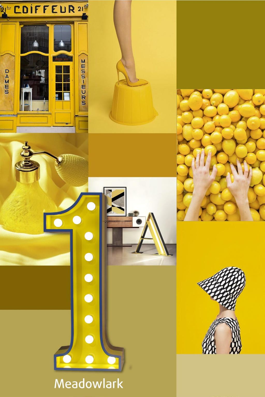 Think yellow. That s the key shade for next season, and the perfect hue to match the green color of a beautiful garden, spiced up by lemon plants.