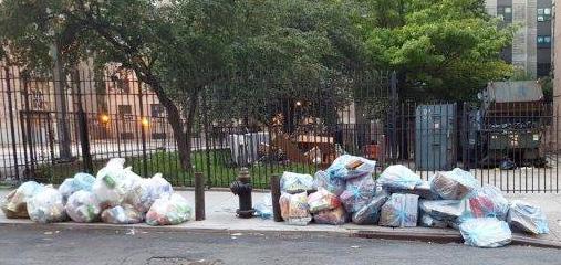 VII. Results: New York City Housing Authority DSNY collects waste from all New York City Housing Authority (NYCHA) properties, which range from small, standalone buildings to large, multi-building