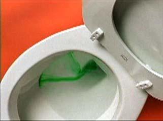 Detecting Leaks- Toilets Listen for running toilet Can t