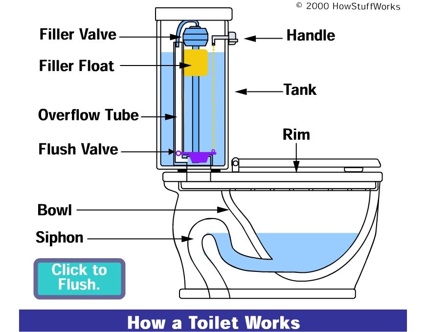 Sources for More Information On Toilets www.acmehowto.com/howto/homemaintenance/plumbing/toilet/toilet.