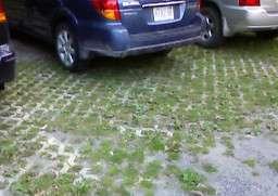 Porous Pavement Pervious types of pavements