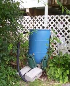 Rain Barrels or Cisterns