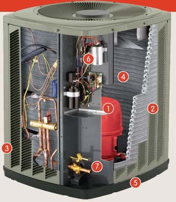 Inside the Condenser 1. Compressor (vapor pump) 2. Coil Guard 3.