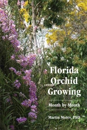 Pa ge 2 August: In Your Orchid Collection By Martin Motes July and August are the two most similar months in South Florida.