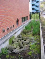 Bioswales are designed to treat stormwater primarily through filtration, and plant uptake before conveying the flow to a downstream discharge location.