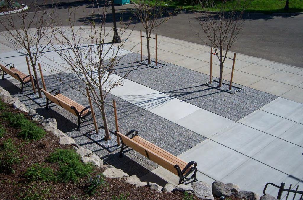 TREE SURROUNDS AND SIDEWALKS USING 12 X 12