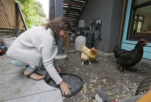 Negrin removes the cover to a gray water collection point outside her home in Berkeley, Calif. The future of California water looks gray...and that¹s not a bad thing.