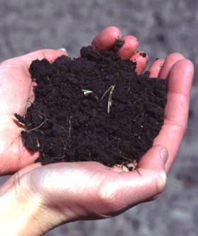 Organic Matter Improves Soil Physical Properties OM decreases soil bulk density OM