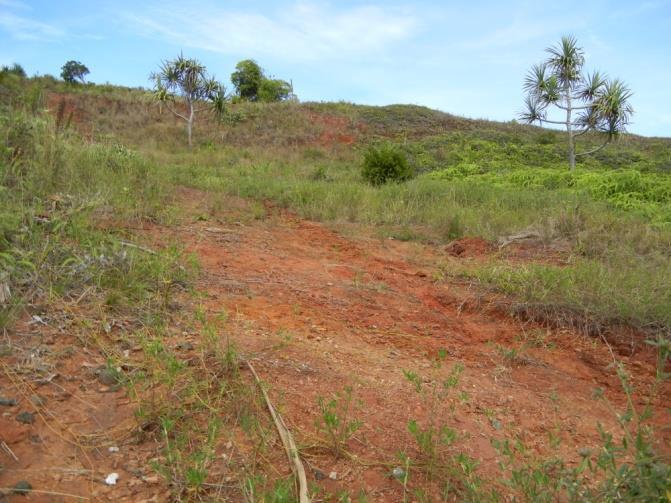 Palau Soil (Grasslands) Select chemical properties of