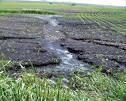Impacts of Iowa s Land Use Changes High OM