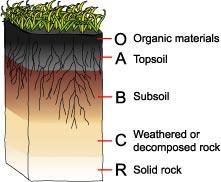 SOIL HORIZONS (LAYERS) * Be sure to examine FIGURE 7. Soil develops called A is a layer of soil that differs in and from the layers or it. Scientists classify the soil into horizons.