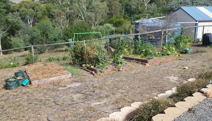 Mount Barker renovation Our clients at Mount Barker had been growing veggies in some small raised beds on their property. But the time had come for a makeover.