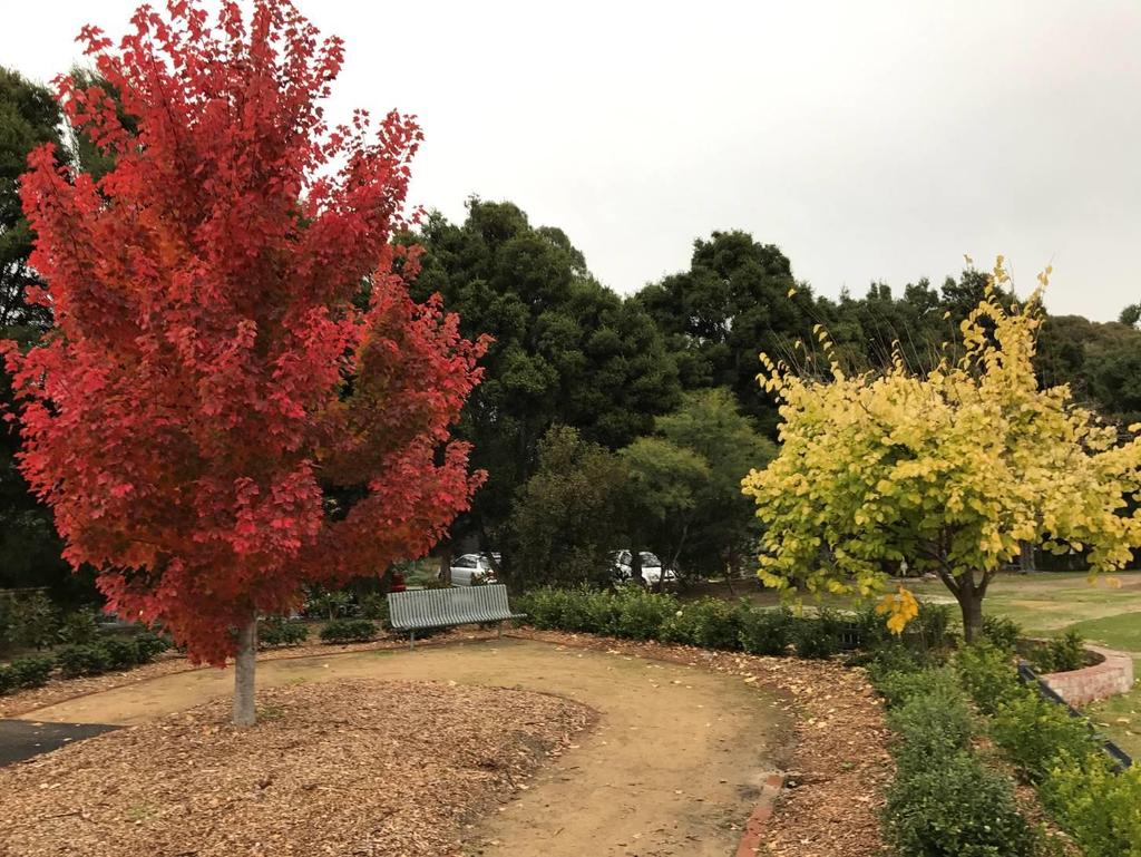 Horticultural Therapy Association of Victoria Inc Newsletter 2017 Autumn Autumn in Melbourne The amazing colours of Autumn in Melbourne are some of the best you will see in the country.