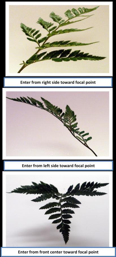 Inserting Foliage (You may add filler or foliage as the next step) If adding foliage first: Begin adding Leather Leaf in the same manner you inserted your flowers Foliage should cover the stems and