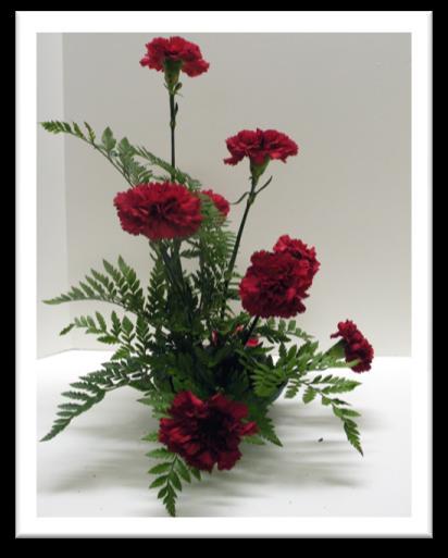 Leaf Fern Follow same insertion pattern as carnations Leather should support carnation stems Insert leather closely behind carnations Keep greenery wings for filler pieces, i.e. front spaces and to