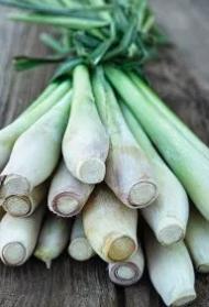 Lemongrass Full sun Well-drained soil Water and don t let roots dry out Edible portion is near the base of
