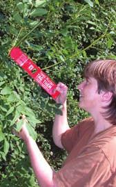 For further information contact your local Tree Warden or The Tree Council www.treecouncil.org.uk. 7 Tree tagging. Tree Council Image Bank Q 12. How do I protect a young hedgerow tree?
