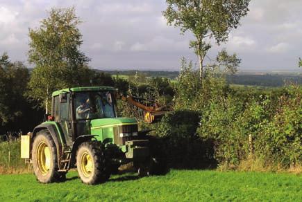 has been a popular way of managing hedgerow trees throughout history. After pollarding, the trunk produces shoots at a height that keeps them away from grazing animals including deer.