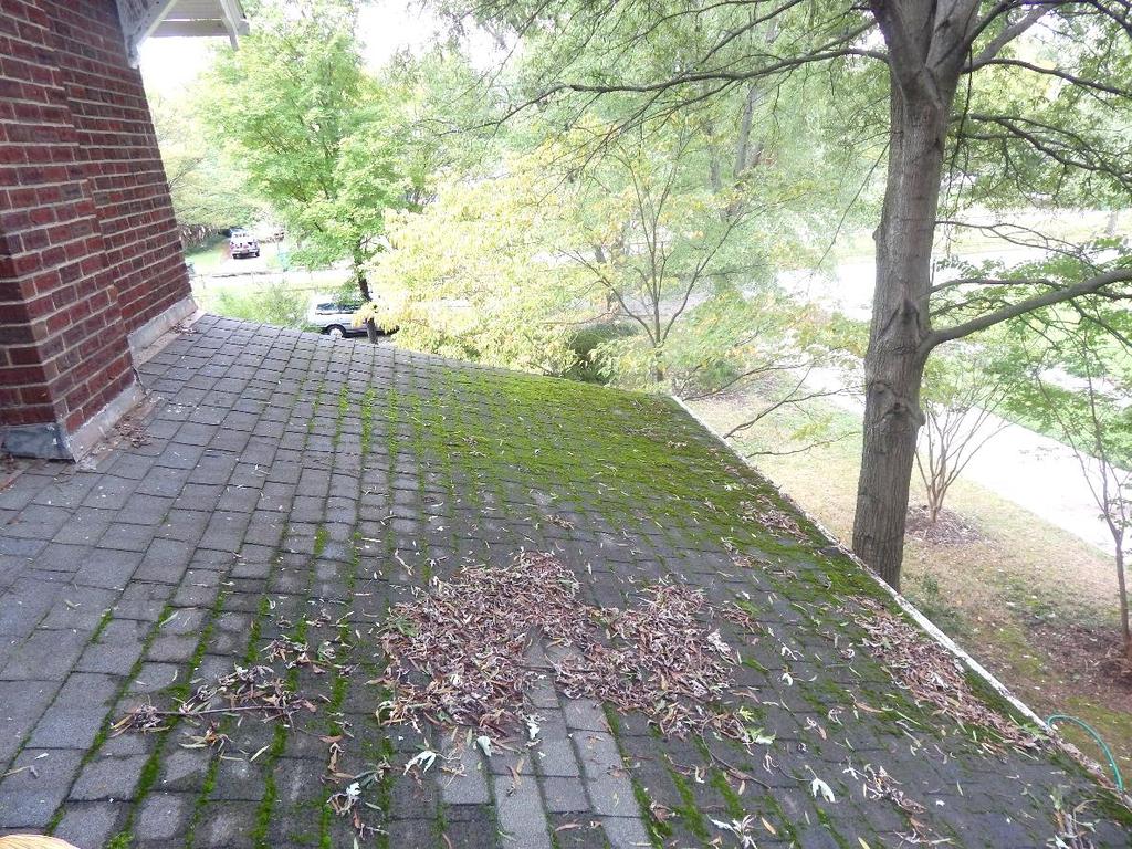 Seasonal Roof Inspection Roof maintenance can get very tricky for a homeowner.