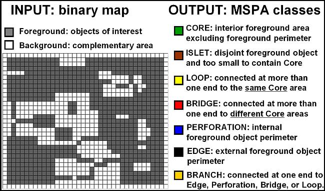 GUIDOS and MSPA Freeware program, written by Peter Vogt at the JRC Based on binary raster maps it allows for several spatial