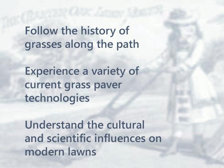 HISTORY OF LAWN In the Beginning!