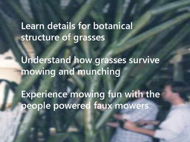 Messages presented: Grasses, unlike any other plant, are perfect for