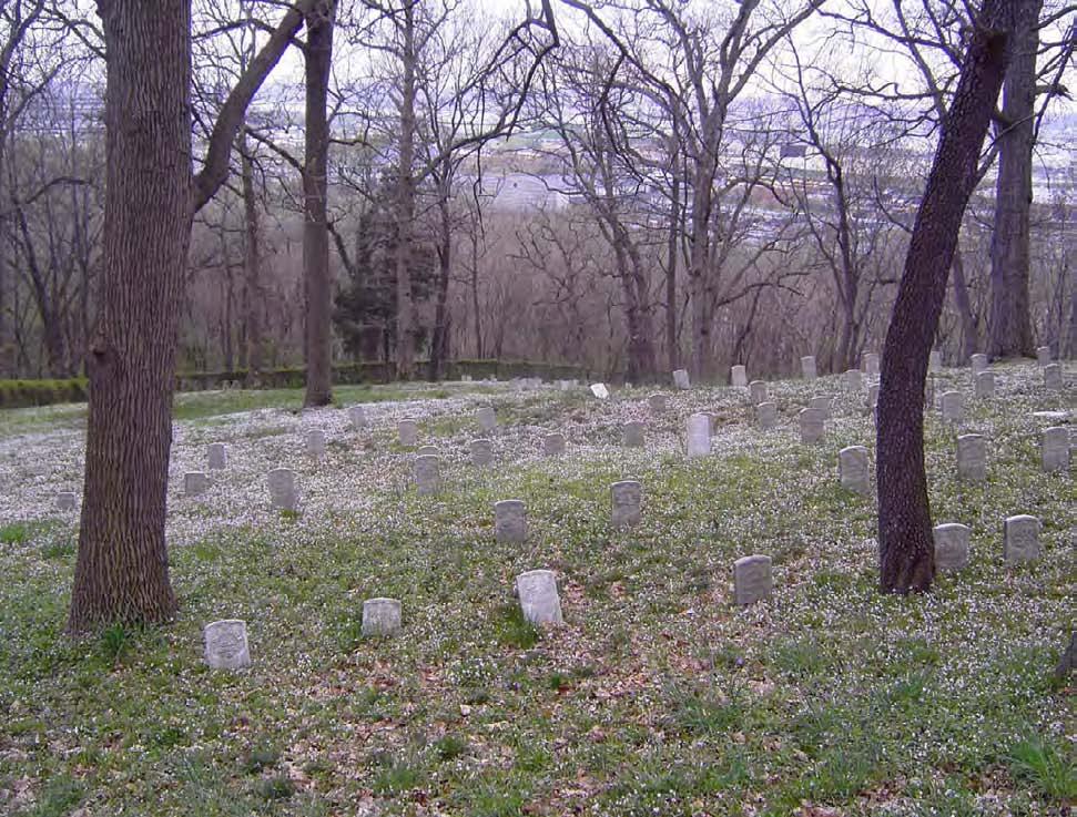 Figure VI.2: The Civil War Cemetery reveals mature deciduous trees growing among the headstones and a vine-covered metal fence.
