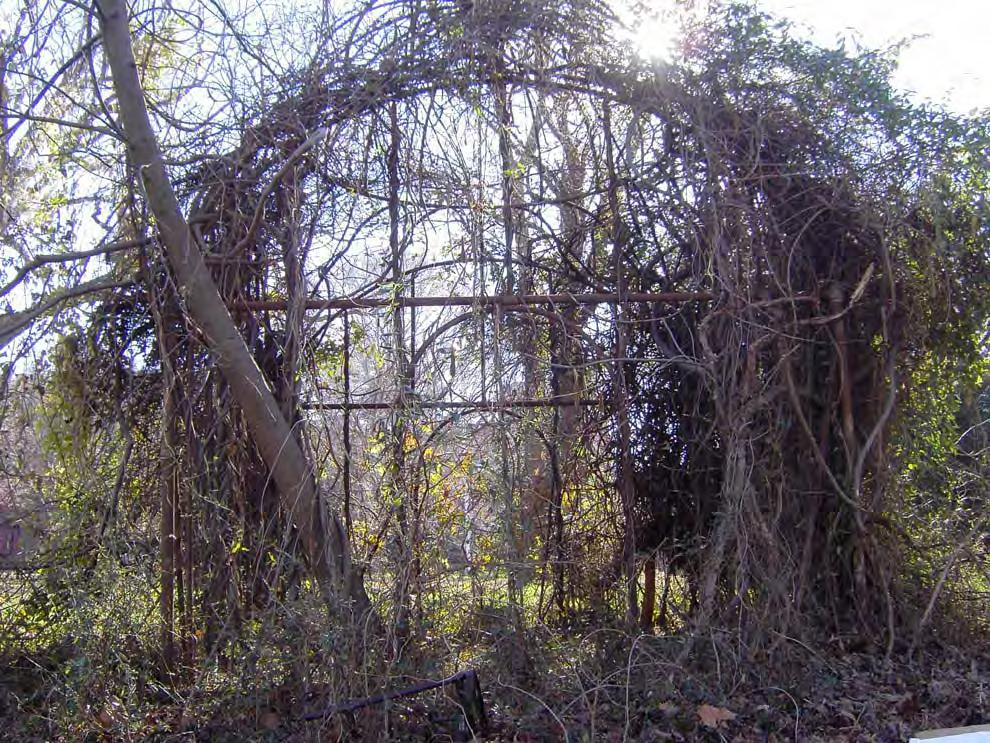 Figure VI.11: The wire-framed summerhouse east of Staff Residence No.