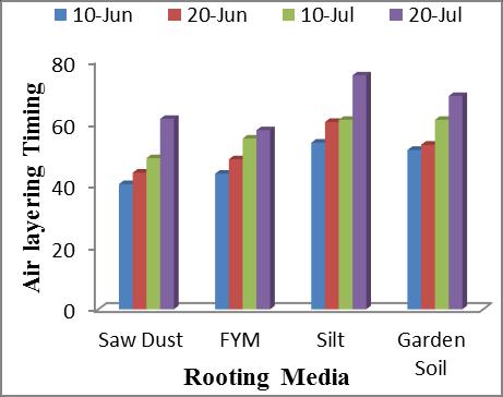 Haq et al. Figure 1.Effect of different Media and Timing factors on number of days to root appearance Figure 2.