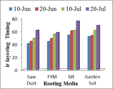 Effect of different media and timing factors on length (cm) ing success (%) The mean value of different media showed that maximum rooting success (83.