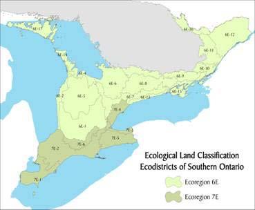 In southern Ontario, natural areas are increasingly facing threats from land use change and development that fragment and degrade the composition, structure and functions of natural heritage features