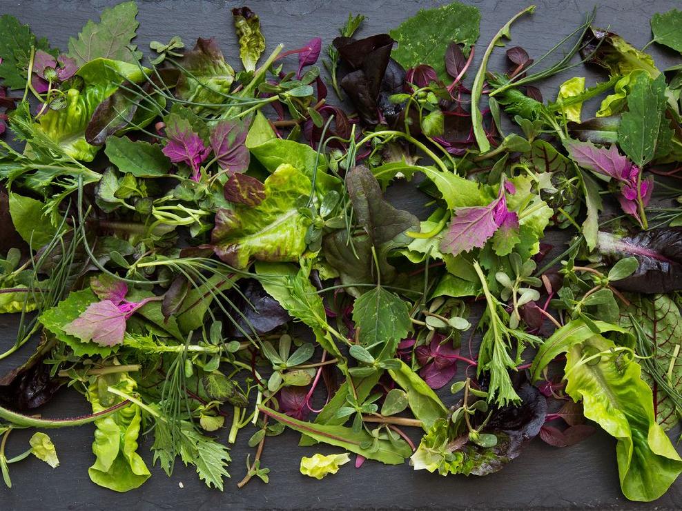 Grow Your Own Greens 5 ways to put the most