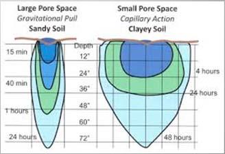 have small pores Sands have large