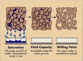 Soil Water Terminology Saturation-free water,
