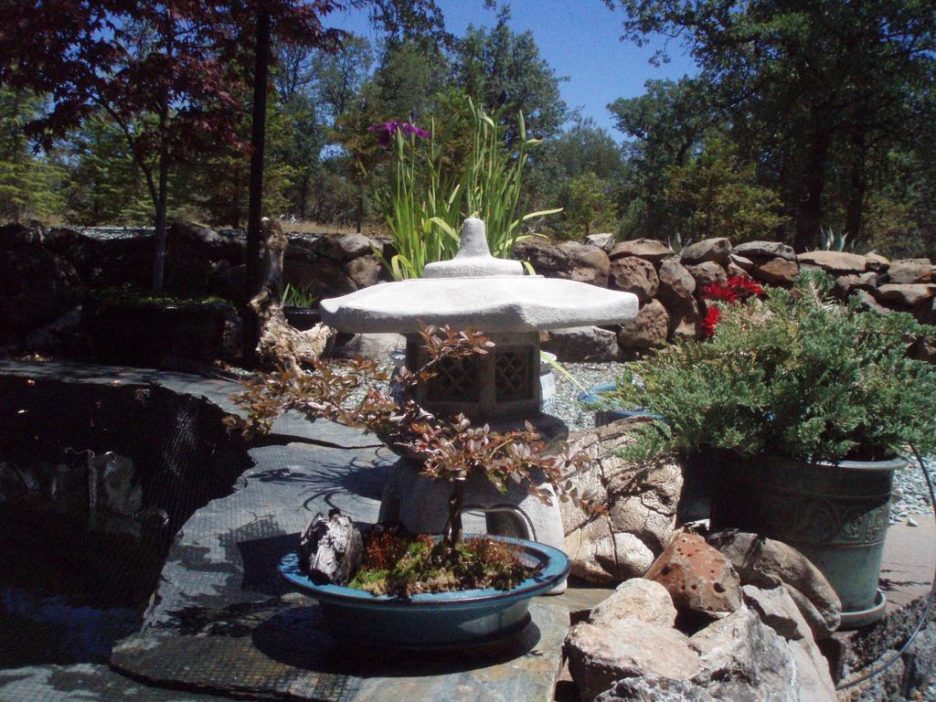 Increase your water circulation and if you have an outside filter system for your pond, try to create some shade for it as well.
