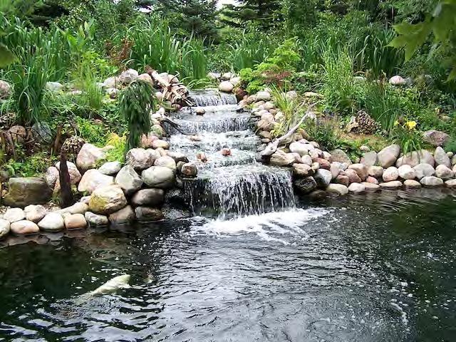 This waterfall was illustrated in Doctors Foster and Smith catalog in the pump section of 2009.