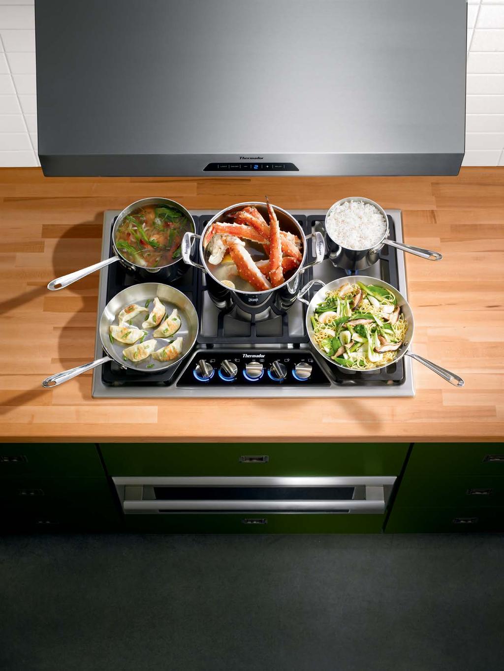 MASTERPIECE DESIGN With chiseled edges and a trapezoid control panel, these cooktops were designed to coordinate perfectly with the entire Masterpiece line of appliances.
