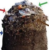 Why Compost Food Waste?
