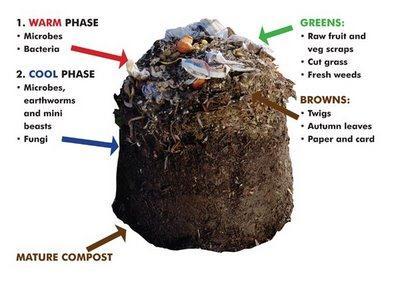 Compost Recipe Brown