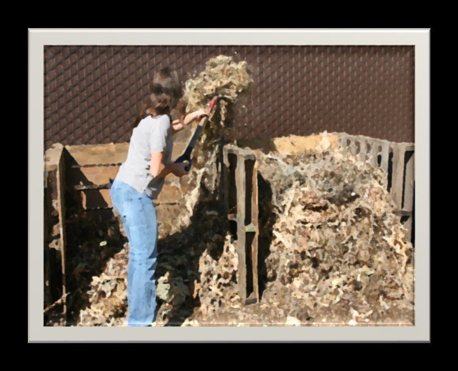 Turning your pile Adds oxygen aerobic decomposition Mixes materials Turn every 1 to 2 weeks