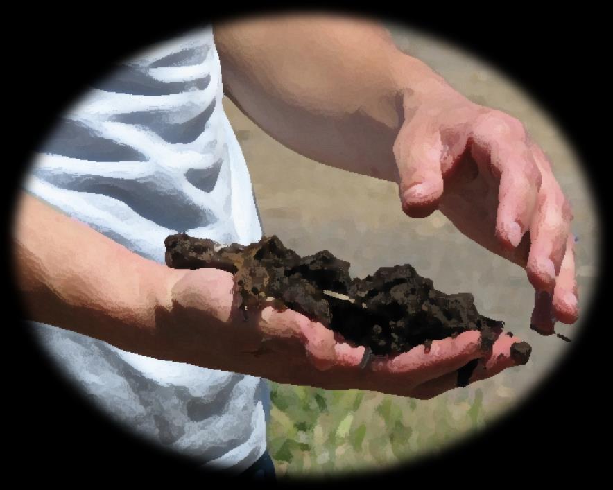 Harvesting your compost Compost in 3 6 months Turn pile remove
