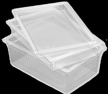 Opaque tray with dividers