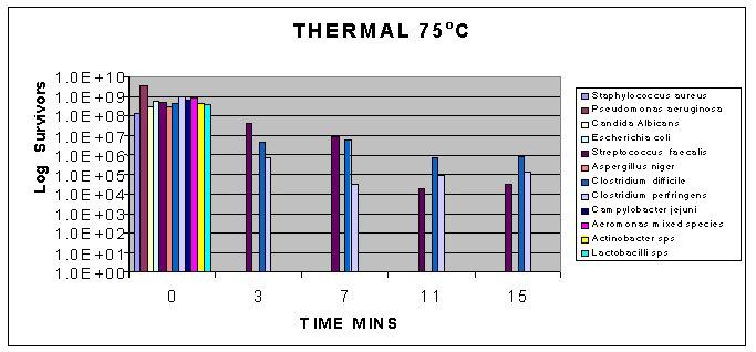 Figure 2 (above): Thermal @ 75 C
